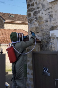 Photo de galerie - ? Intervention du jour : un nid invisible… mais loin d’être inoffensif !
Un nid de guêpes installé directement dans le mur d’une résidence principale, juste devant le portillon d’accès à la maison où 3 enfants en bas âges passaient quotidiennement...
