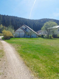 Photo de galerie - Tonte de pelouse 