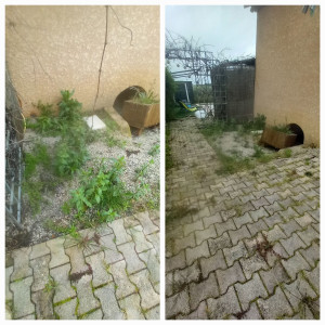 Photo de galerie - Désherbage nettoyage 