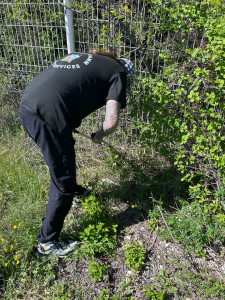 Photo de galerie - Entretien et nettoyage de jardin