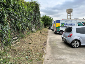 Photo de galerie - Tonte de pelouse - Débroussaillage