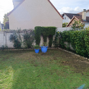 Photo de galerie - Taille de haies et d'arbustes