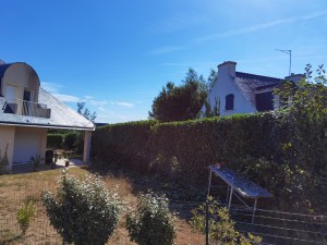Photo de galerie - Taille de haies et d'arbustes