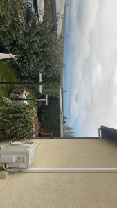 Photo de galerie - Taille de laurier 