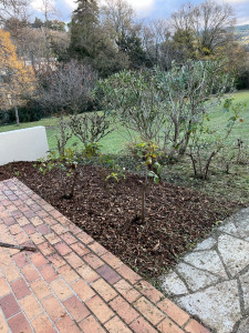 Photo de galerie - Aménagement de plates-bandes 