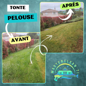 Photo de galerie - Tonte de pelouse - Débroussaillage