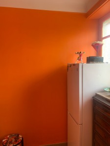 Photo de galerie - Peinture en orange d’une cuisine 