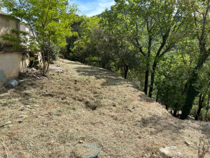 Photo de galerie - Débroussaillage forêt 