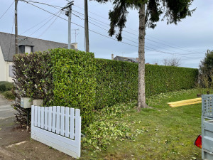 Photo de galerie - Taille de haies et d'arbustes