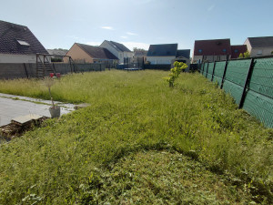 Photo de galerie - Fauchage plus tonte 