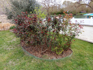 Photo de galerie - Jardinier