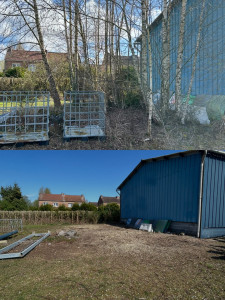 Photo de galerie - Abattage et grignotage des souches 