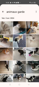 Photo de galerie - Garde animaux