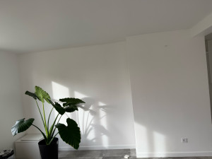 Photo de galerie - Fin des travaux 