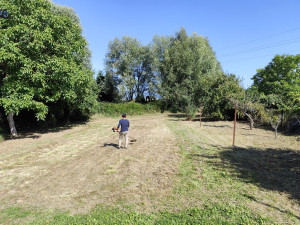 Photo de galerie - Tonte de pelouse - Débroussaillage