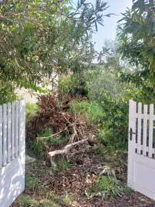 Photo de galerie - . 