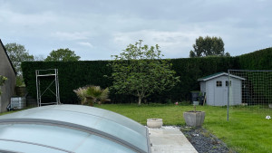 Photo de galerie - Taille d’une haie 