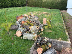 Photo de galerie - Paysagiste - Aménagement du jardin
