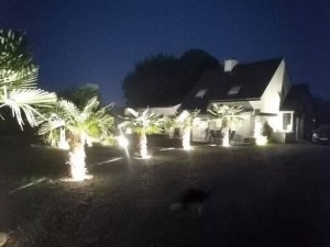 Photo de galerie - Paysagiste - Aménagement du jardin