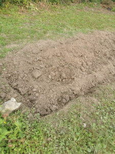 Photo de galerie - Labourage d'un potager. 