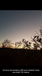 Photo de galerie - Créateur de confort ?