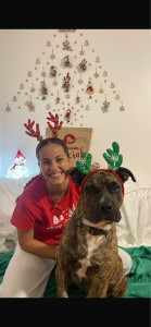 Photo de galerie - Chien en vacances à la maison pendant les fêtes de fin d’année 