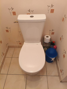 Photo de galerie - Remplacement wc