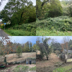 Photo de galerie - Défrichage terrain avant/après 