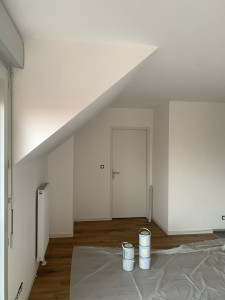 Photo de galerie - Peinture d’un appartement 