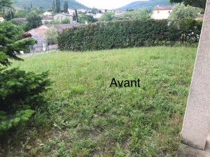 Photo de galerie - Tonte de pelouse avant