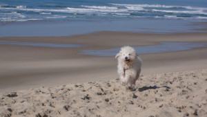 Photo de galerie - Détente sur la plage