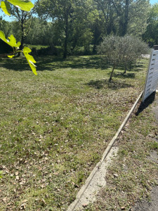 Photo de galerie - Tonte de pelouse 