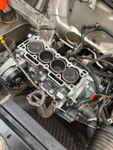 Photo de galerie - .