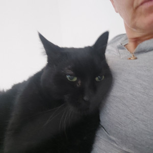 Photo de galerie - Câlin mon papy 