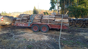 Photo de galerie - Livraison - Transport de colis