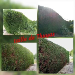 Photo de galerie - Réalisation dans le 02