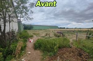 Photo de galerie - Avant: Débroussaillage d'un prés de 2000 m2