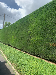 Photo de galerie - Après 