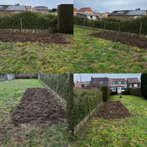 Photo de galerie - Paysagiste - Aménagement du jardin