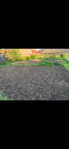 Photo de galerie - Préparation de sol potager ou semi d herbe 