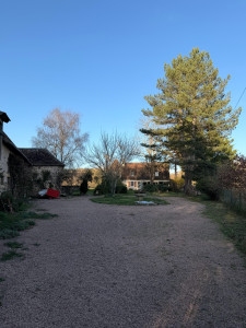 Photo de galerie - Tonte et débroussaillage