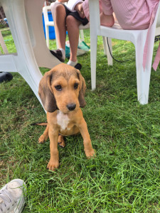 Photo de galerie - Sam garder sur un week-end 