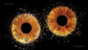 Photo de galerie - Photographe