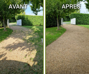 Photo de galerie - Taille de haies et d'arbustes