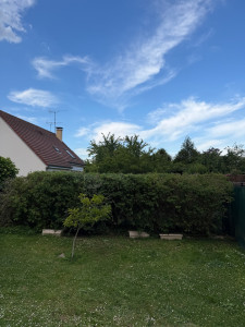 Photo de galerie - Taille après 