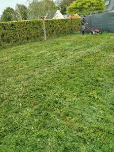 Photo de galerie - Tonte 