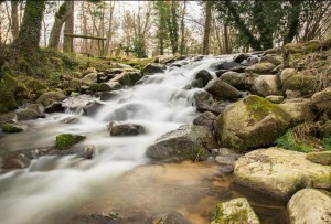 Photo de galerie - Cascade à Messimy 