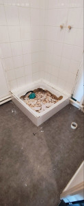Photo de galerie - Avant pose douche 