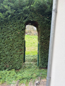 Photo de galerie - Paysagiste - Aménagement du jardin