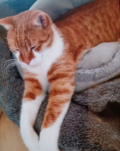 Photo de galerie - Max